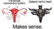 The Female Reproductive System vs Satanic Rams Head