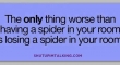 The only thing worse than having a spider in your room is...