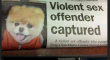 Violent sex offender captured