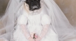 Wedding Dress Dog