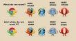 Which Browser