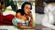 cats that look like pin up girls 16