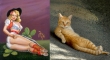 cats that look like pin up girls 2