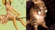 cats that look like pin up girls 2