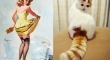 cats that look like pin up girls 4