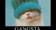 gangsta2