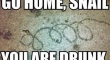go home snail you are drunk