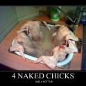4 Naked Chicks and a hot tub