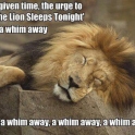 A whim away