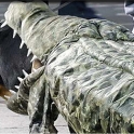 Alligator Costum For A Dog
