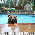 Are you coming in the pool or not