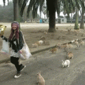 Attack of the bunnies