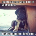 Before you see what I did to your shoes...