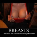 Breasts Becaue you cant motorboat personality2