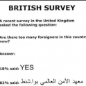 British Survey