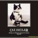 Cat Hitler2