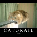 Catorail Meow2
