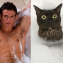 Cats That Look Like Male Models 13