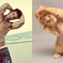 Cats That Look Like Male Models 14
