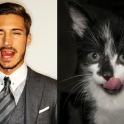 Cats That Look Like Male Models 17