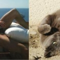 Cats That Look Like Male Models 20