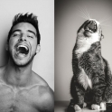 Cats That Look Like Male Models 21