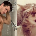 Cats That Look Like Male Models 6