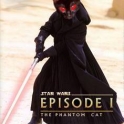 Cats with lightsabers 33