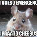 Cheesus will save us all