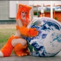 Cosplay Firefox