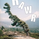 Dino goes Rawr