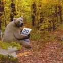 Do Bears Crap In The Wood Ohh I see