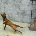 Doggy Breakdance