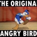 Donald Duck the original angry bird