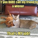 Dont you dare call my friend here a wiener