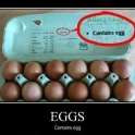 Eggs contains eggs2