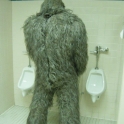 Even Chewbacca has to pee