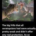Facts about dinosaurs that you may or may not know