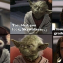 Found your Jedi graduation photo Yoda