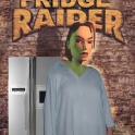 Fridge Raider