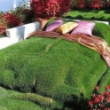 Garden Bed