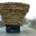 Giant Haystack