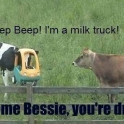 Go home Bessie youre drunk