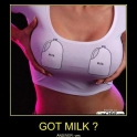 Got Milk Answer is Yes2