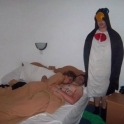 Hay I am just a Penguin watching over you as you sleep