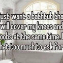 I just want a bathtub that will cover my....