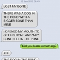 I lost my bone