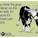 If you think the grass is greener on the other side..