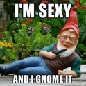 Im Sexy and I gnome it