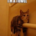 Im a towel